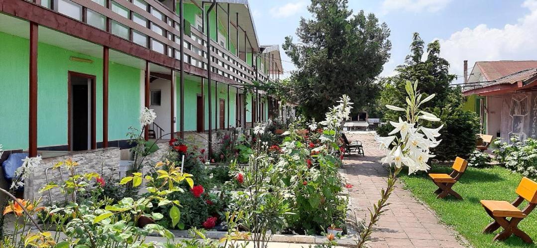 Casa Bucuria Ξενοδοχείο Costinești Εξωτερικό φωτογραφία